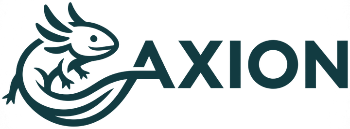 Axion
